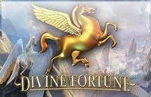 Divine Fortune